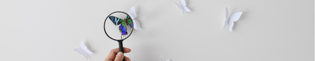 Magnifying glass held over paper butterfly