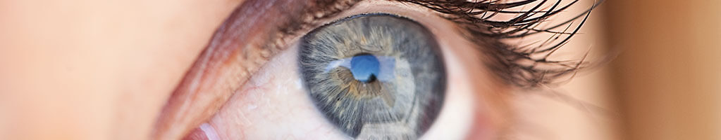 Close-up of woman's eye