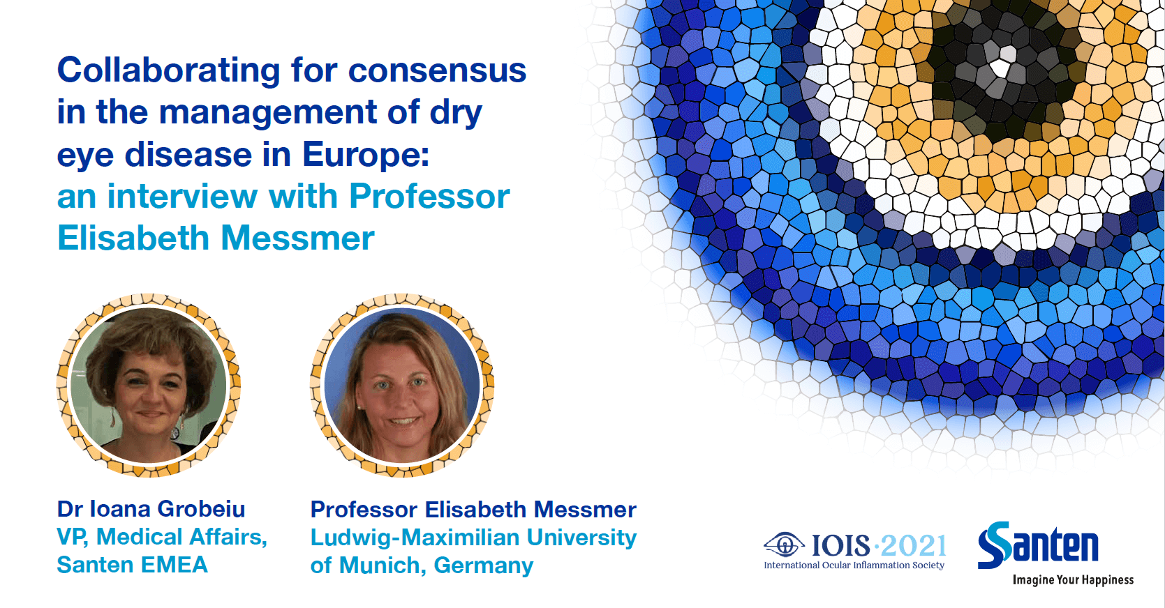 Collaborating for consensus in the management of dry eye disease in Europe: an interview with Professor Elisabeth Messmer